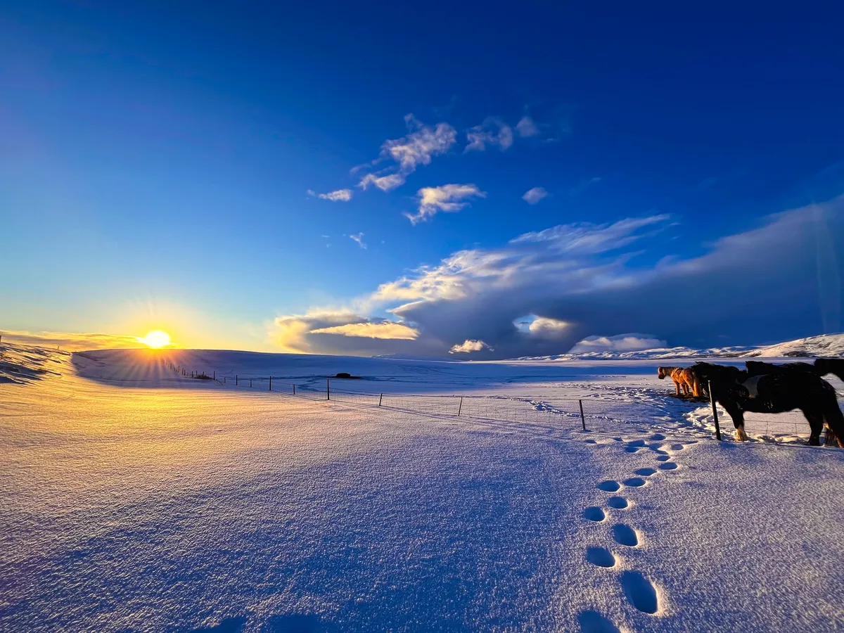 Horas de luz en Islandia en enero