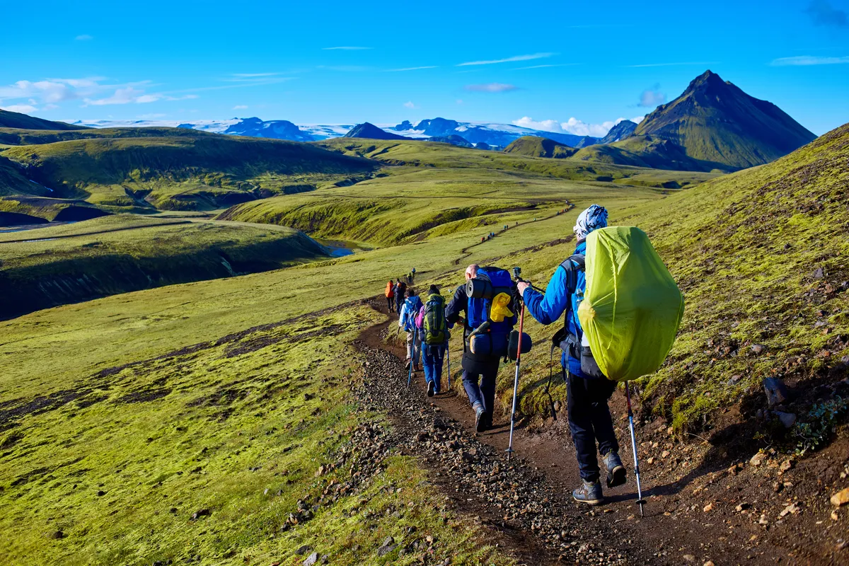 Senderistas que recorren los vibrantes paisajes verdes de Islandia en mayo, con montañas cubiertas de nieve de fondo