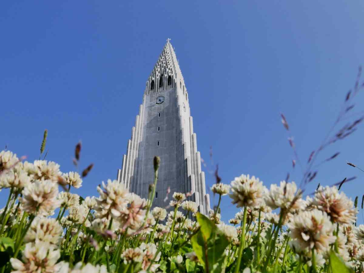Imagen desde abajo de la iglesia Hallgr&iacute;mskirkja de Islandia de casi 75 metros de altura bajo un cielo completamente despejado con hermosas flores a su alrededor.