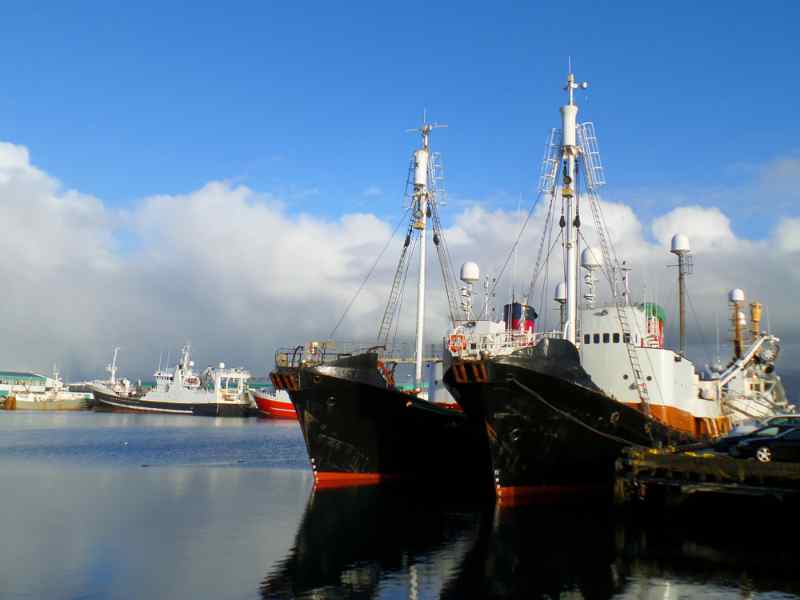 Puerto Viejo de Reikiavik